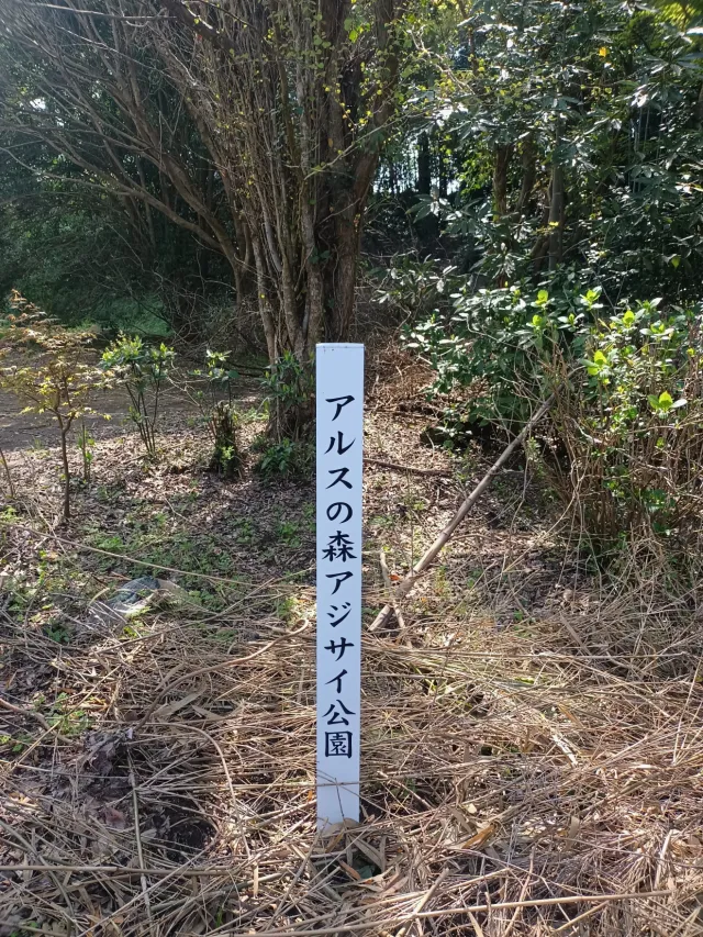 アルスの森 アジサイ公園(芸大緑地第2公園)