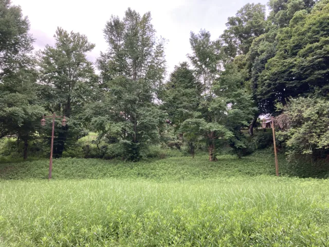 アルスの森 アジサイ公園(芸大緑地第2公園)