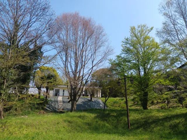 アルスの森 アジサイ公園(芸大緑地第2公園)