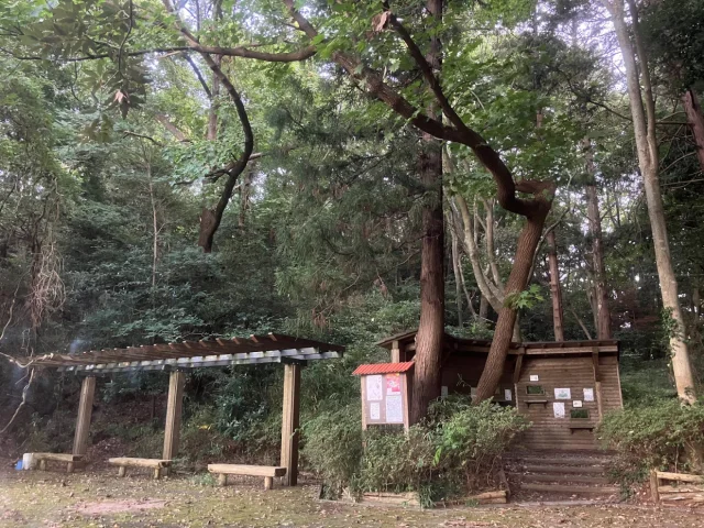 野鳥観察の森(利根川自然公園)