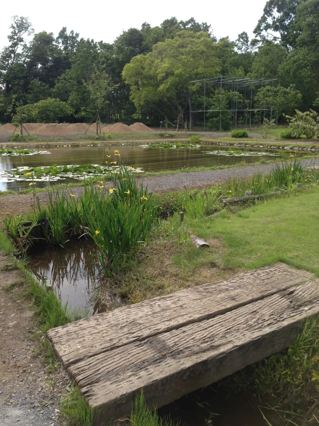 駒場ほたるの里