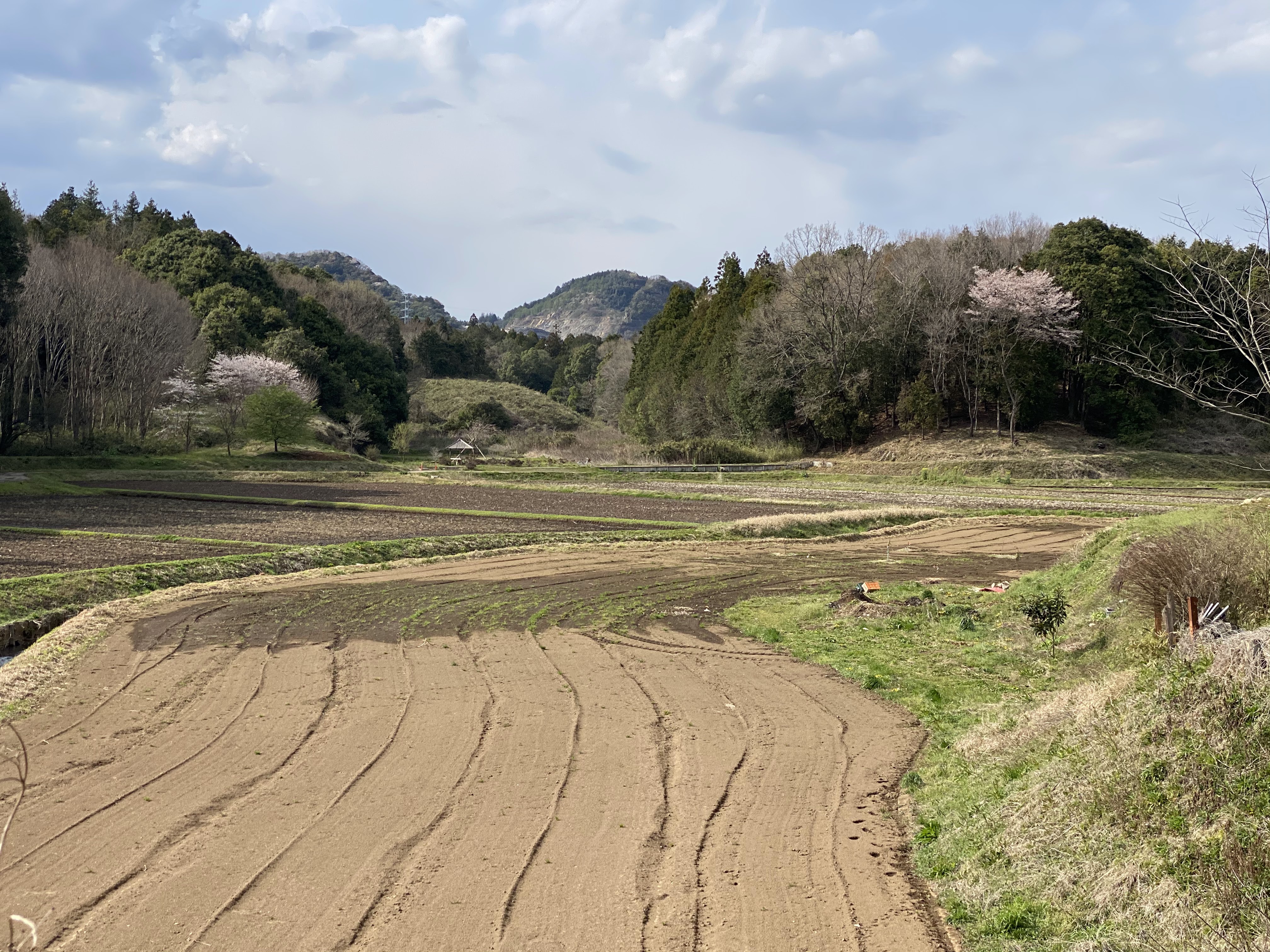 矢場公園