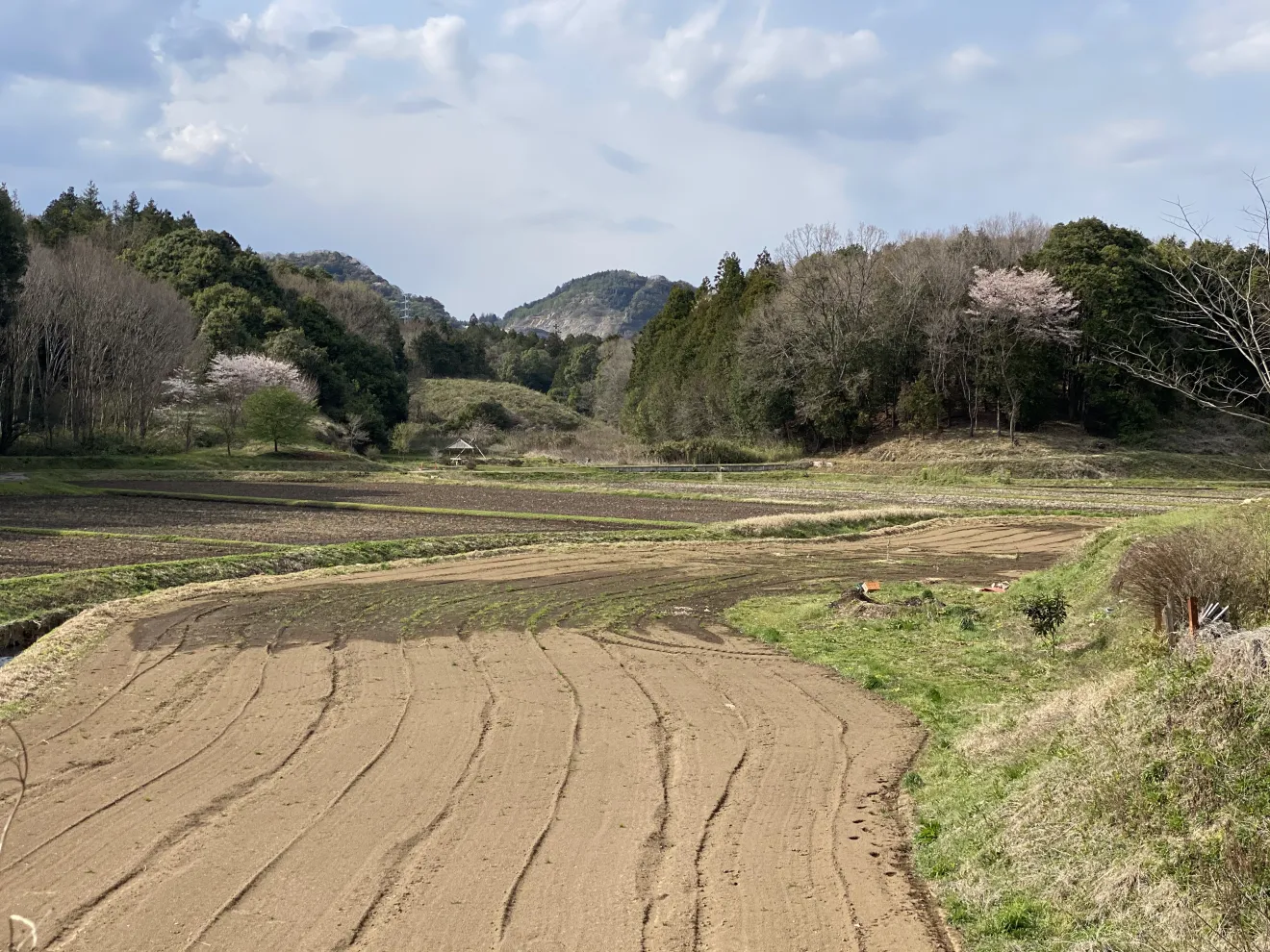 矢場公園