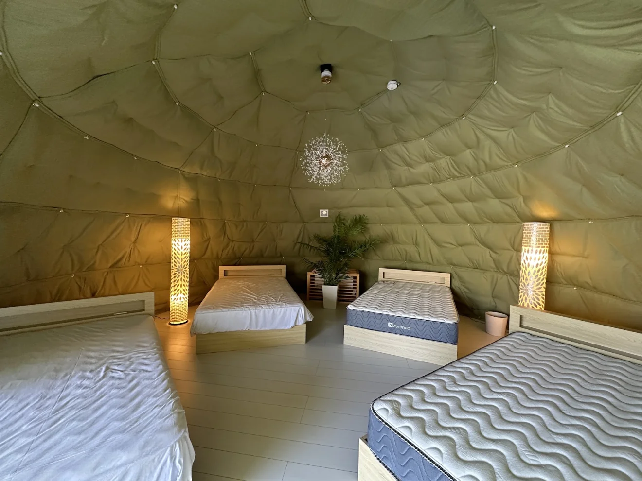 GLAMPING KASHIMA753 イチオシ - 4