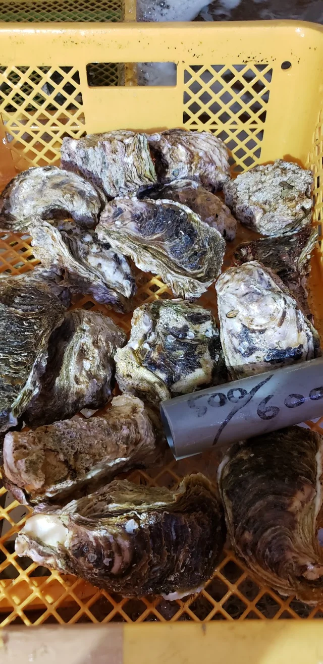 山喜丸水産