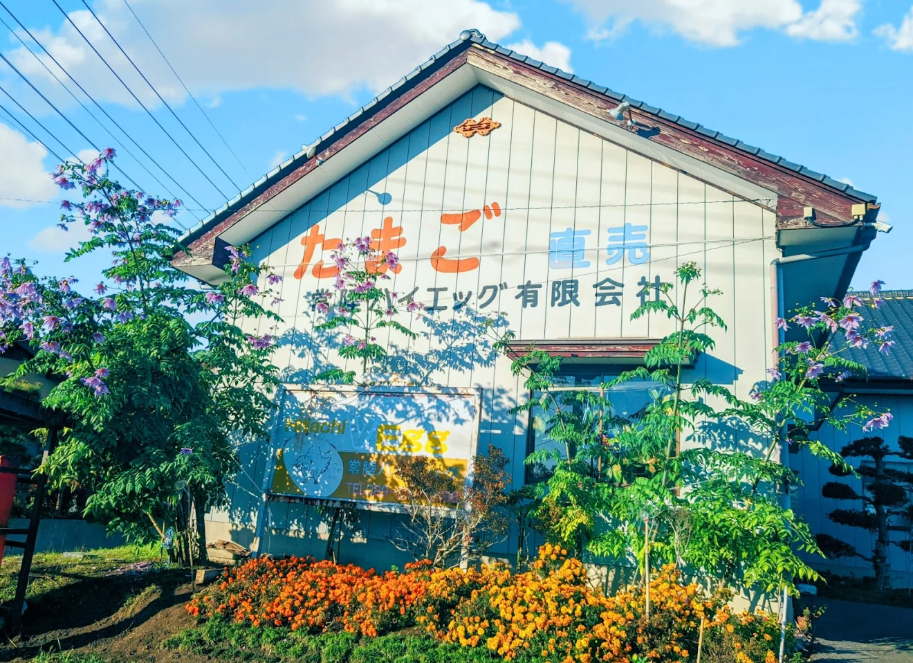 常陸ハイエッグ株式会社
