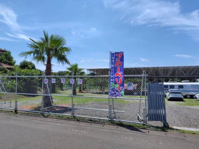 ブルーベリーファームBANDO