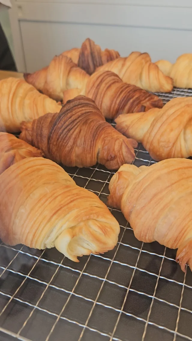 Bakery MomofuQ