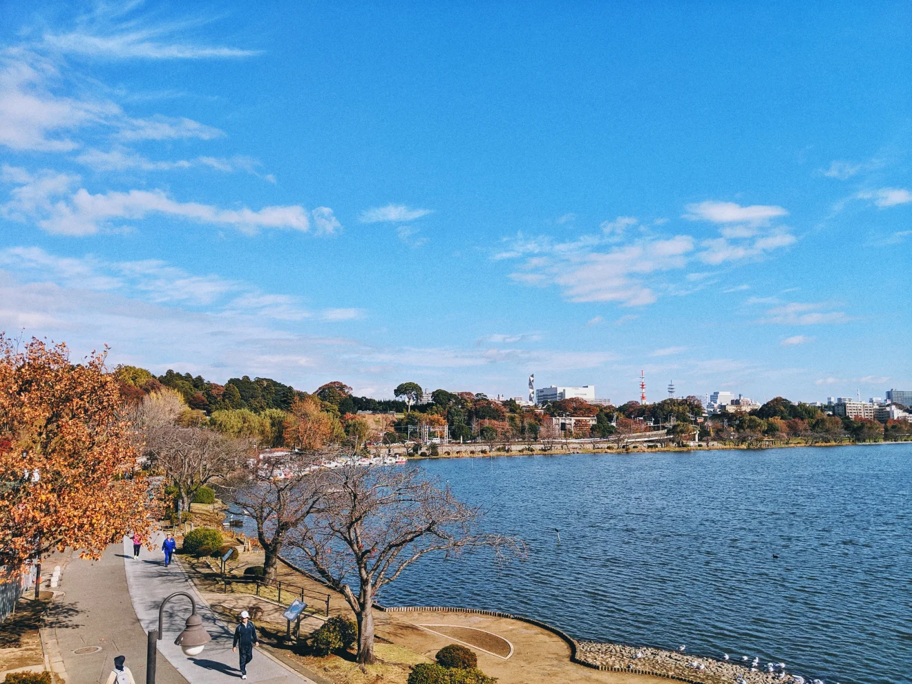 千波公園