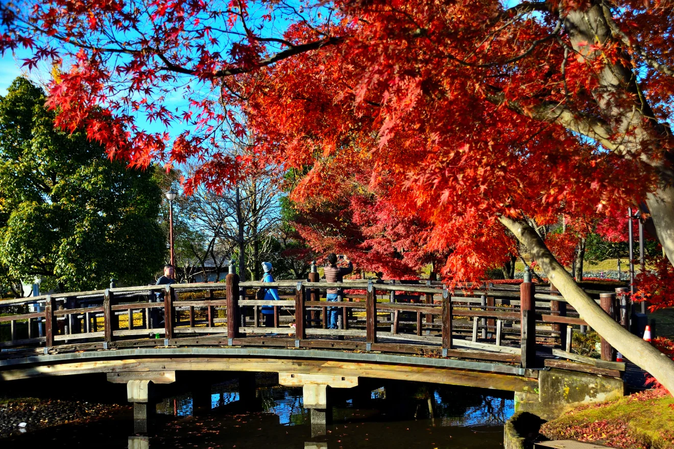 千波公園 - 画像2