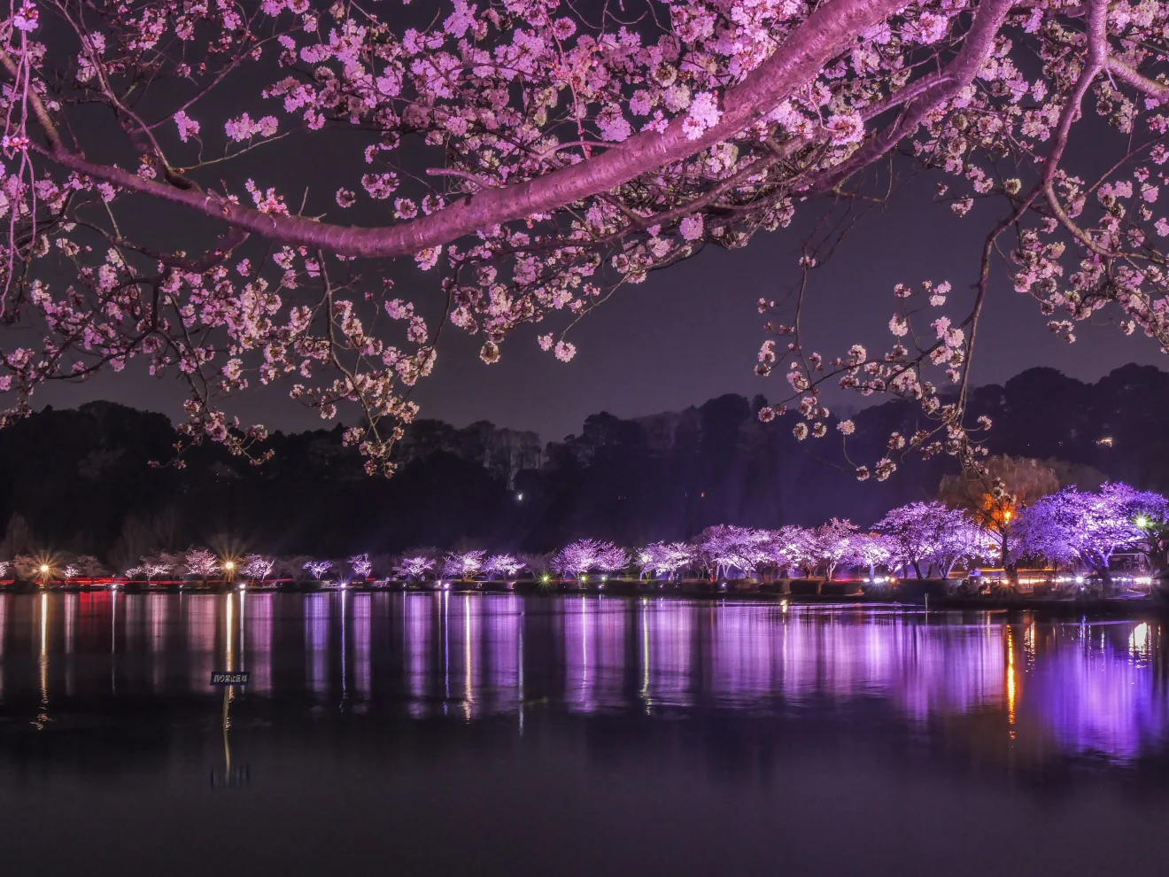 千波公園 - 画像4