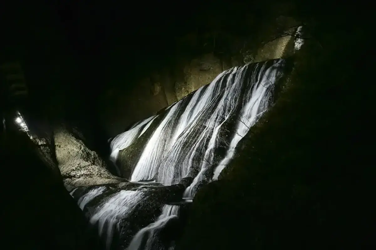 大子来人 - 画像4