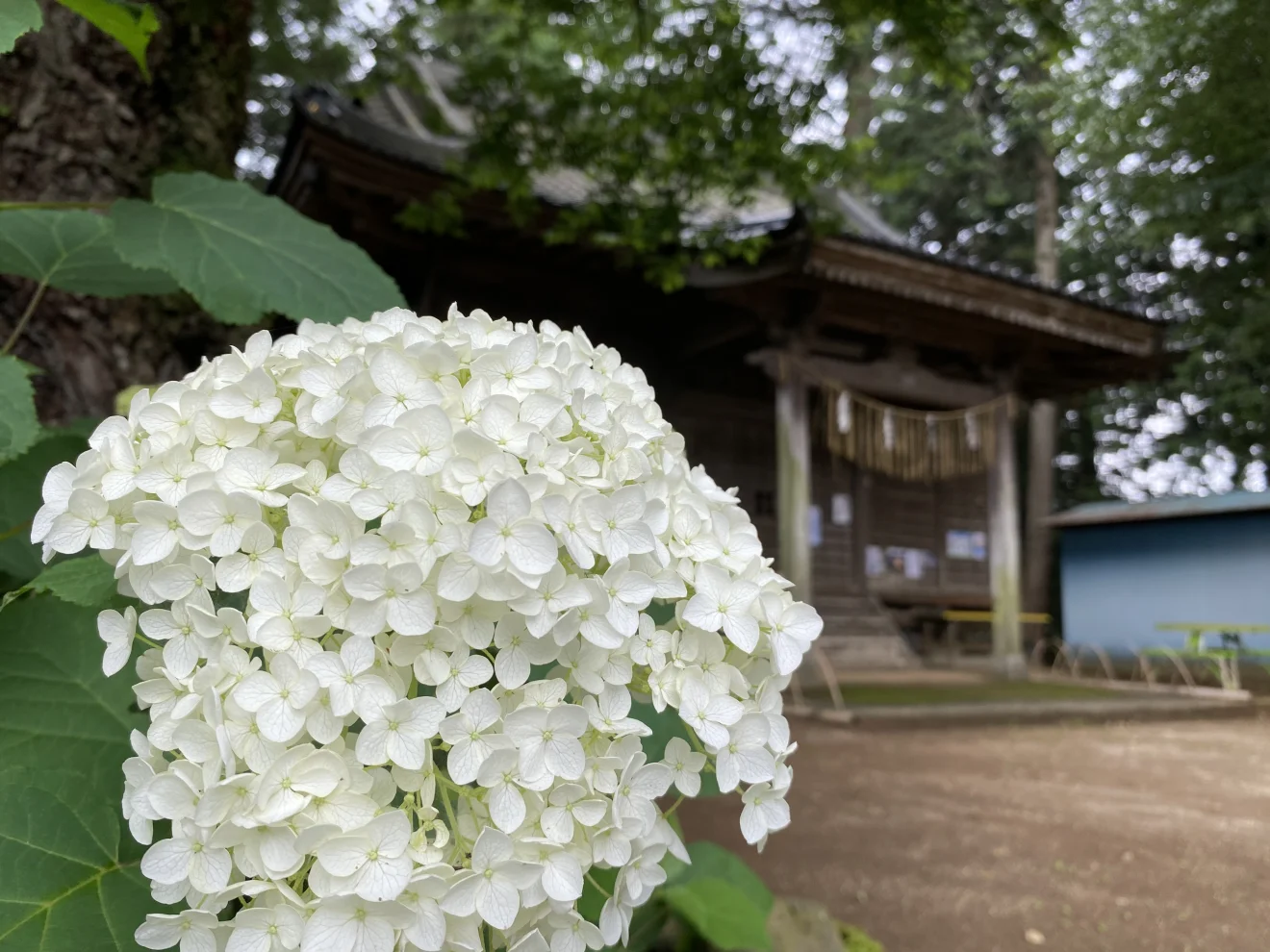 竹原神社 - 画像4