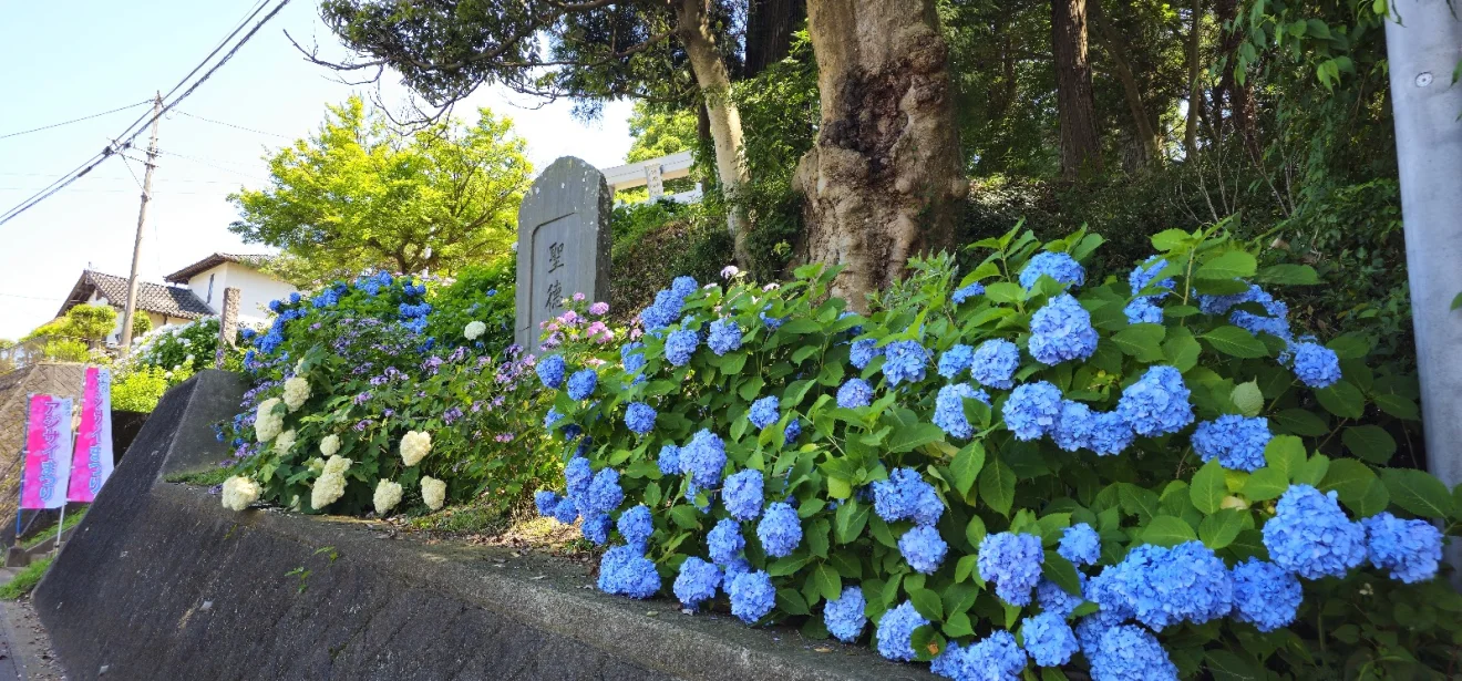 竹原神社 - 画像2
