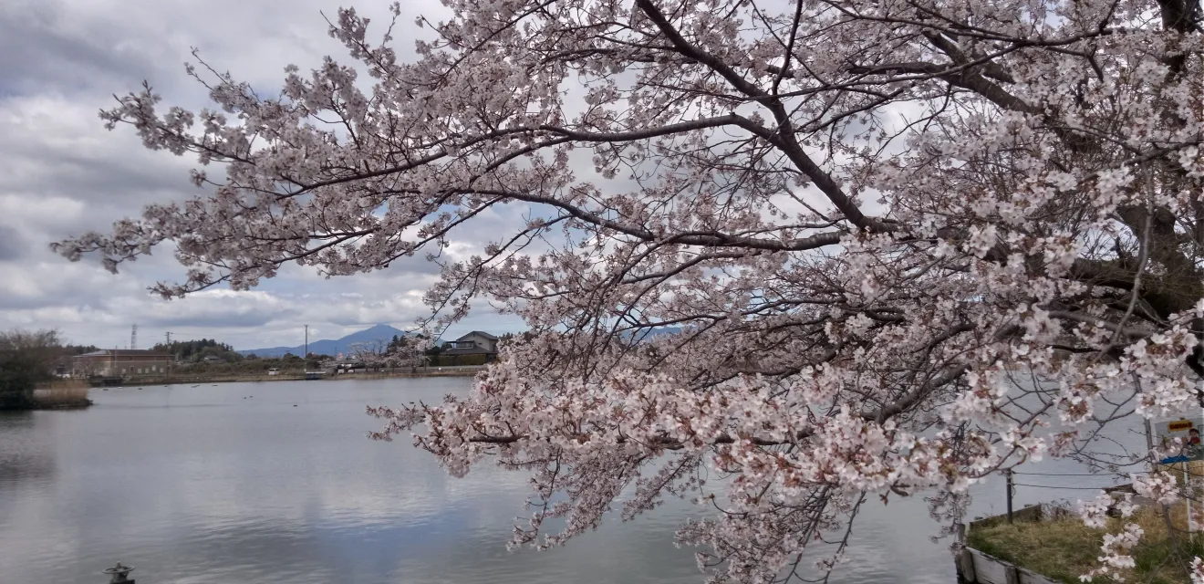 遠州池