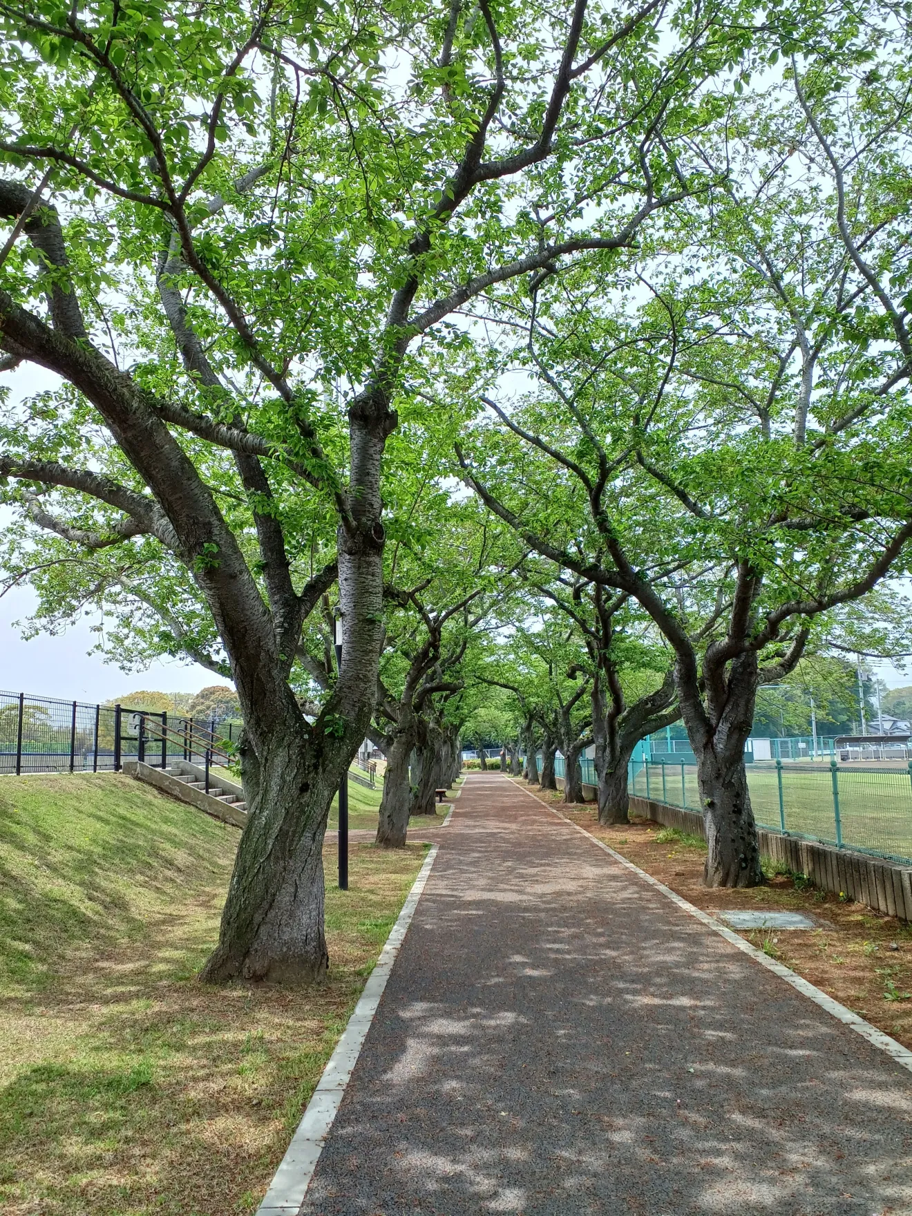 阿漕ヶ浦公園