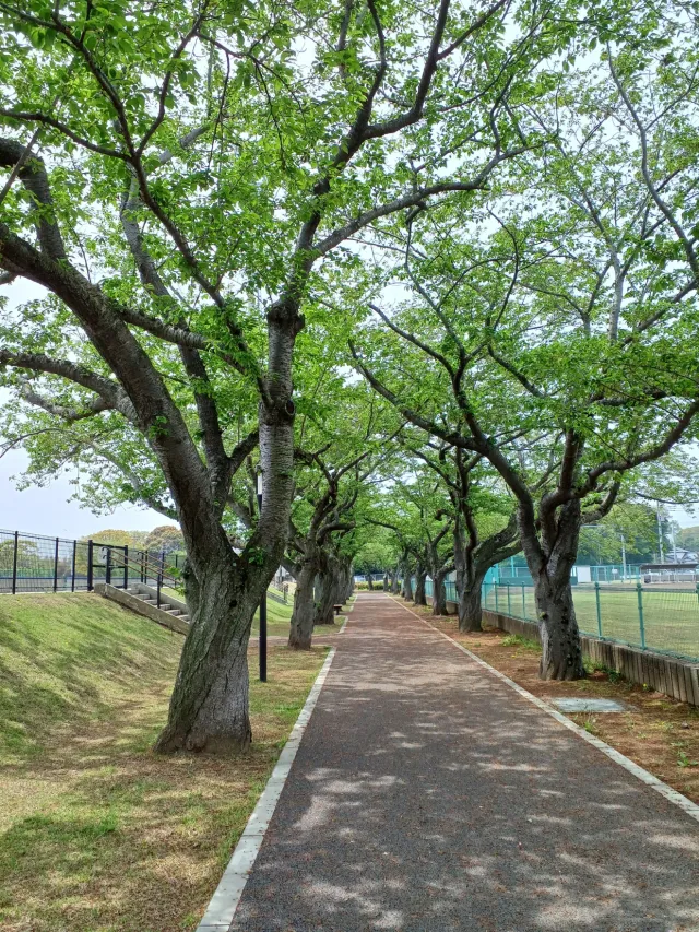 阿漕ヶ浦公園