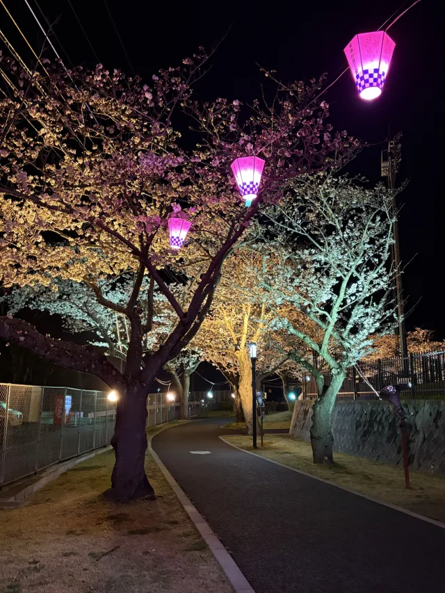 東海さくらまつり