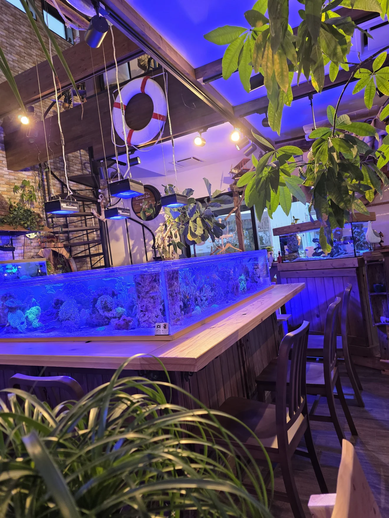café DE mare - 画像2