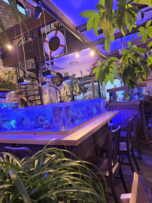 café DE mare