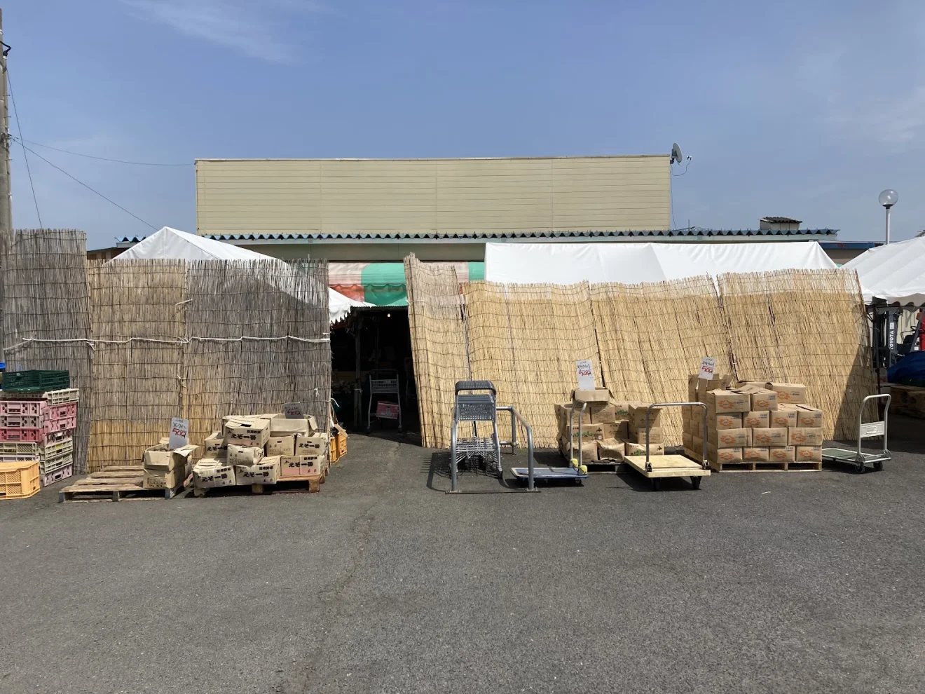 鈴木商店(青果)市民市場店 - 画像2