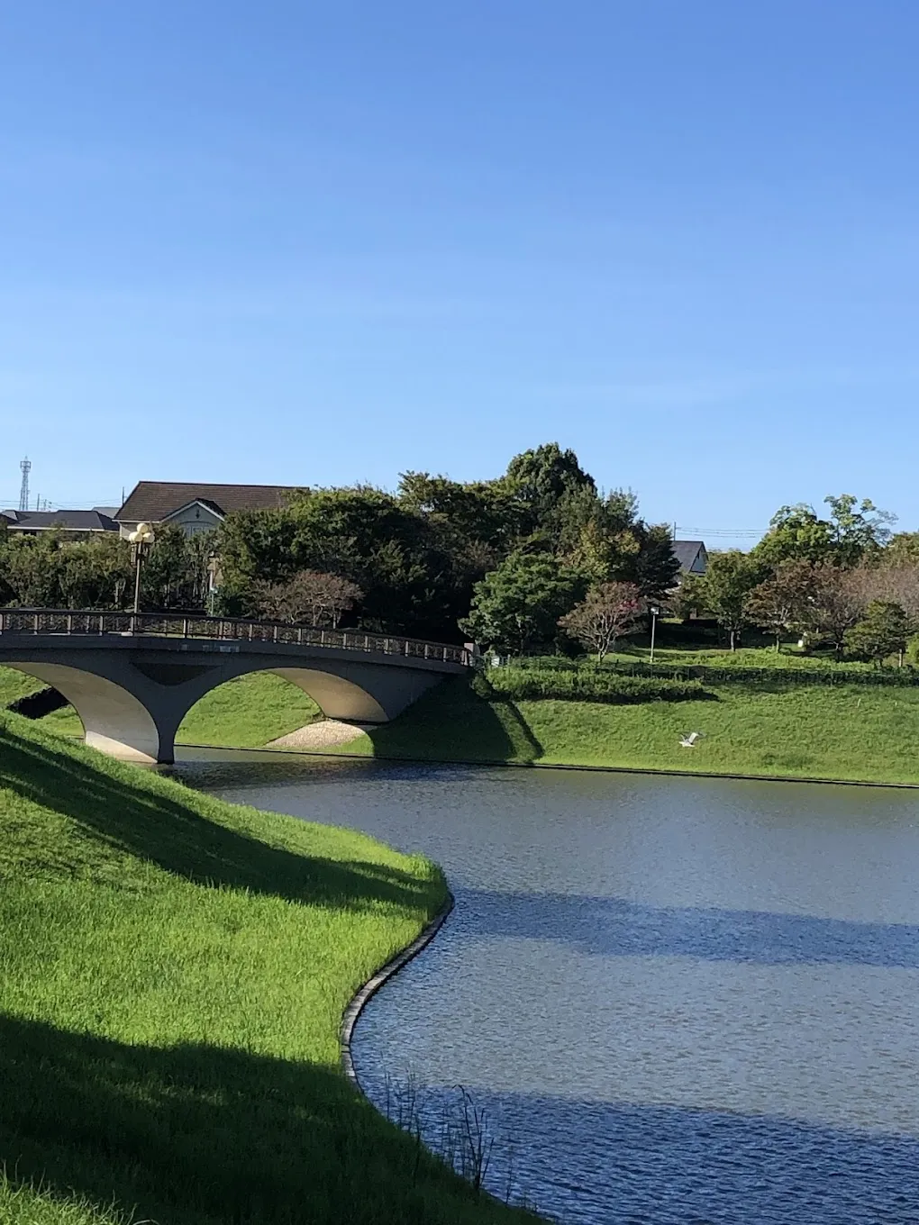 水彩の池
