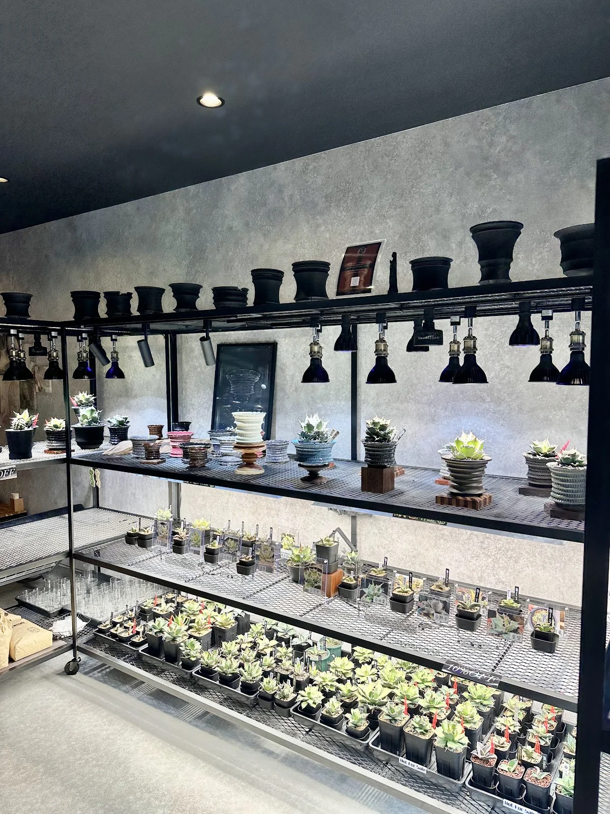 ONE-K PLANTS - 画像3