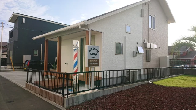 ブラッシュヘアー