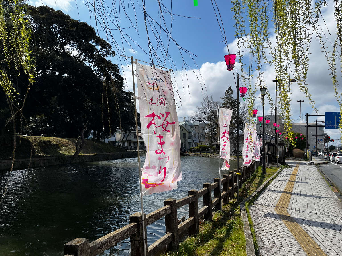 土浦桜まつり - 2