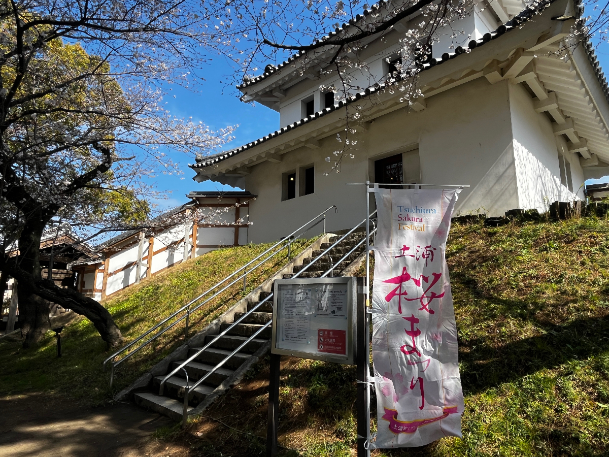 土浦桜まつり - 1