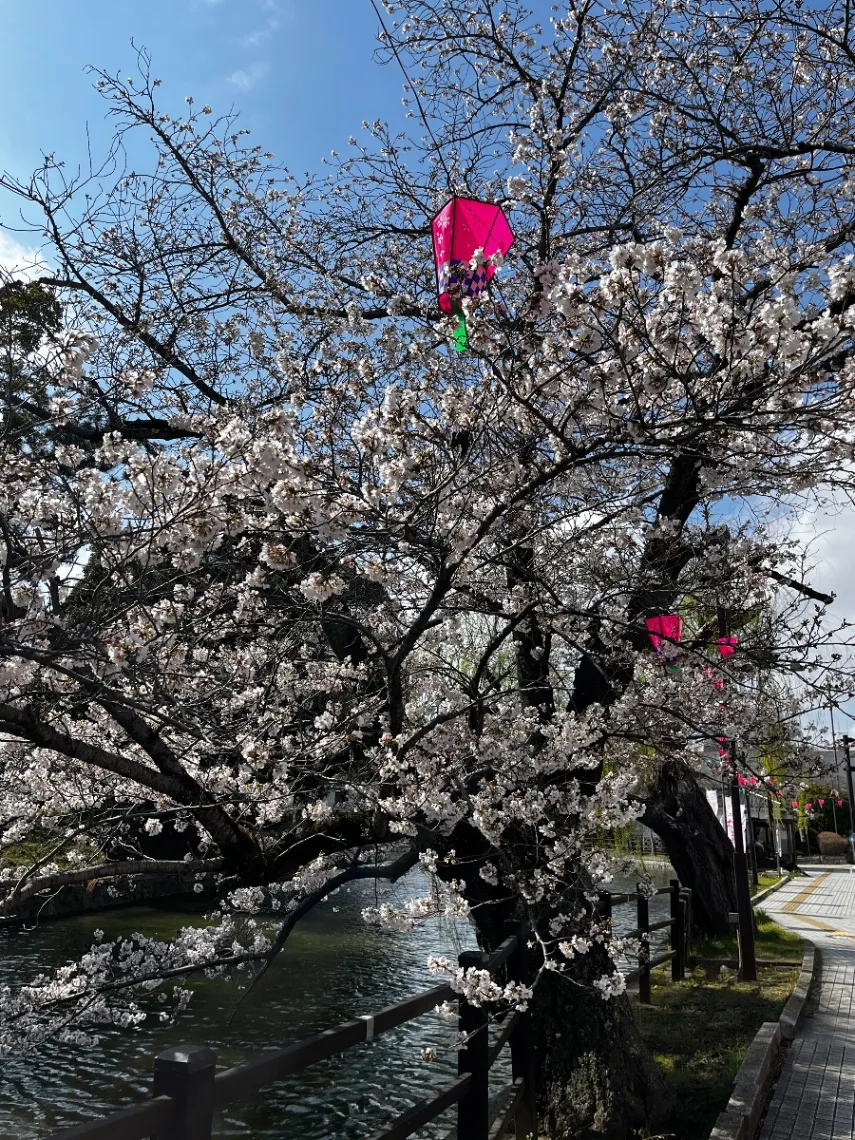 亀城公園