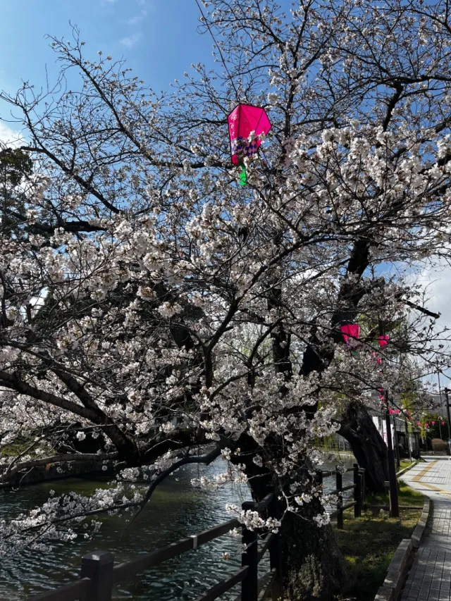 亀城公園