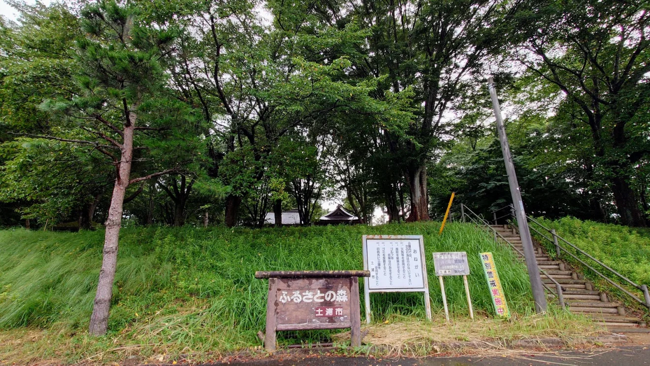 新治ふるさとの森 - 画像3