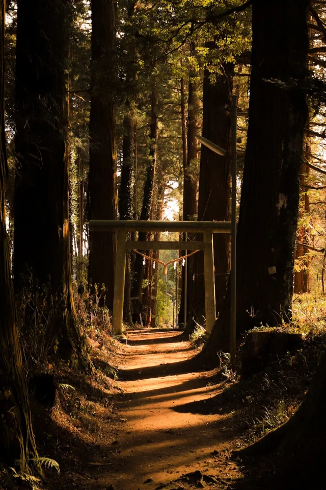 青山神社