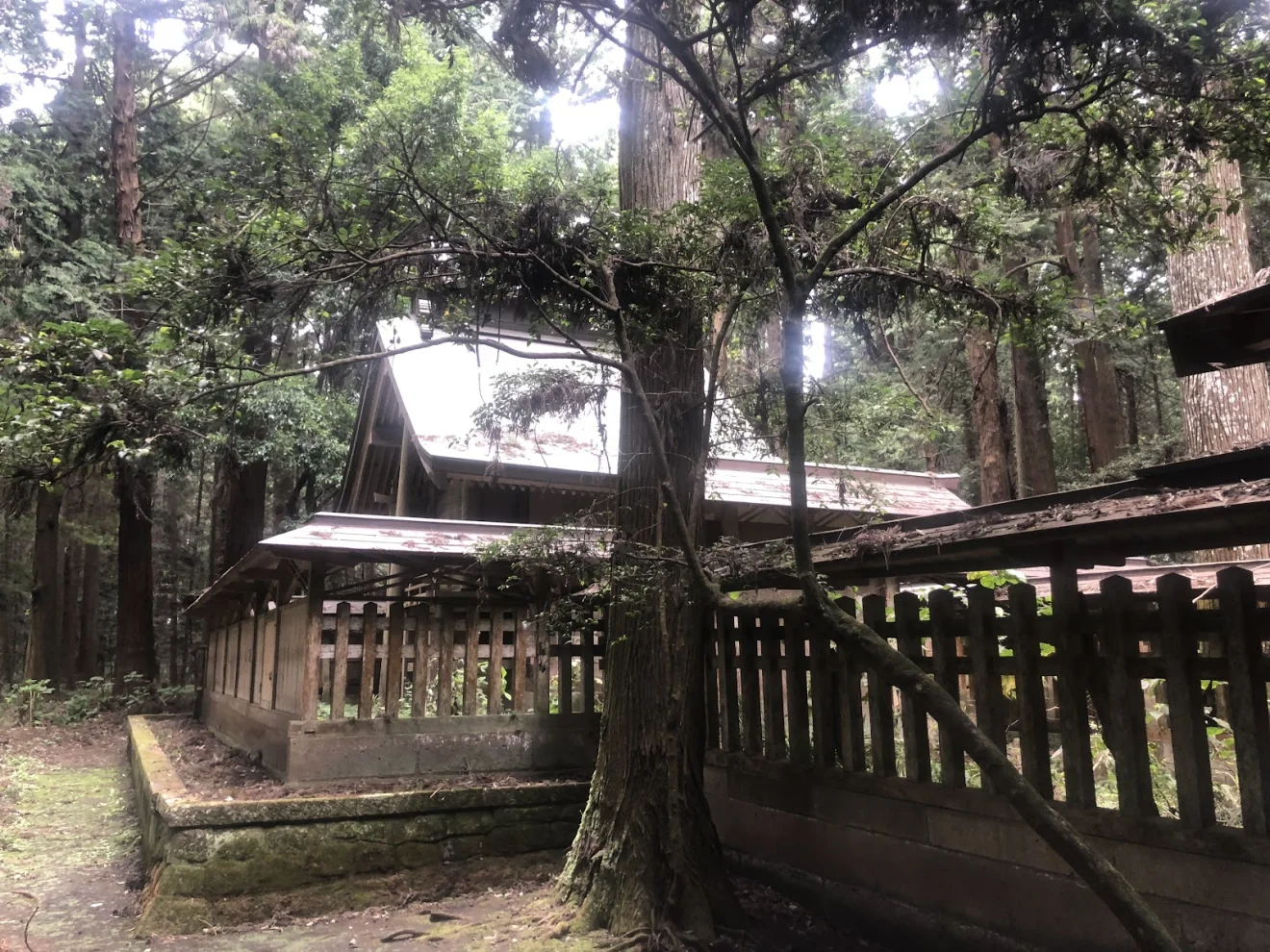 青山神社 - 画像2