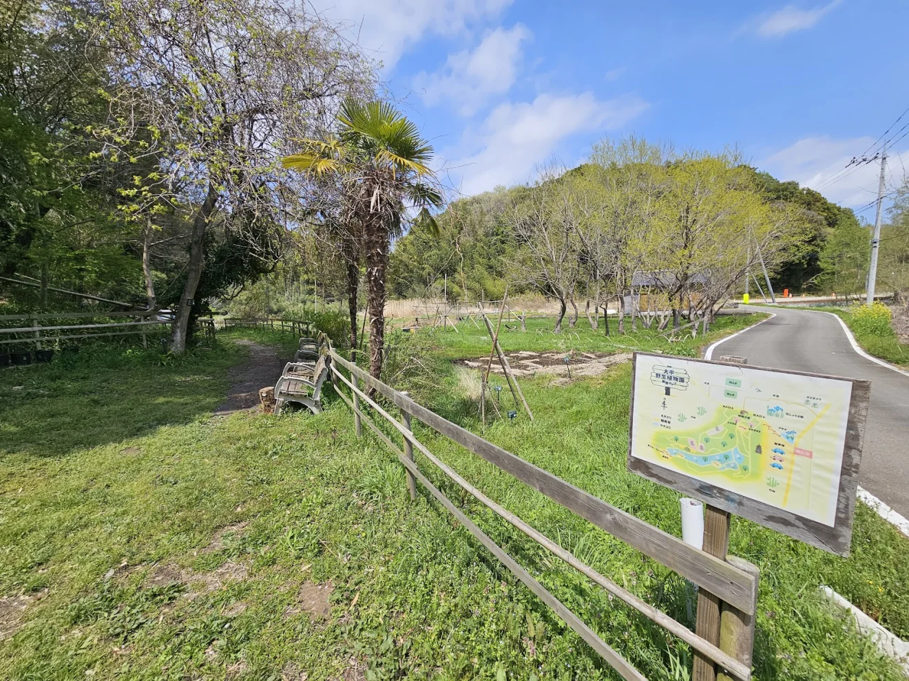 大平野生植物園 - 画像4