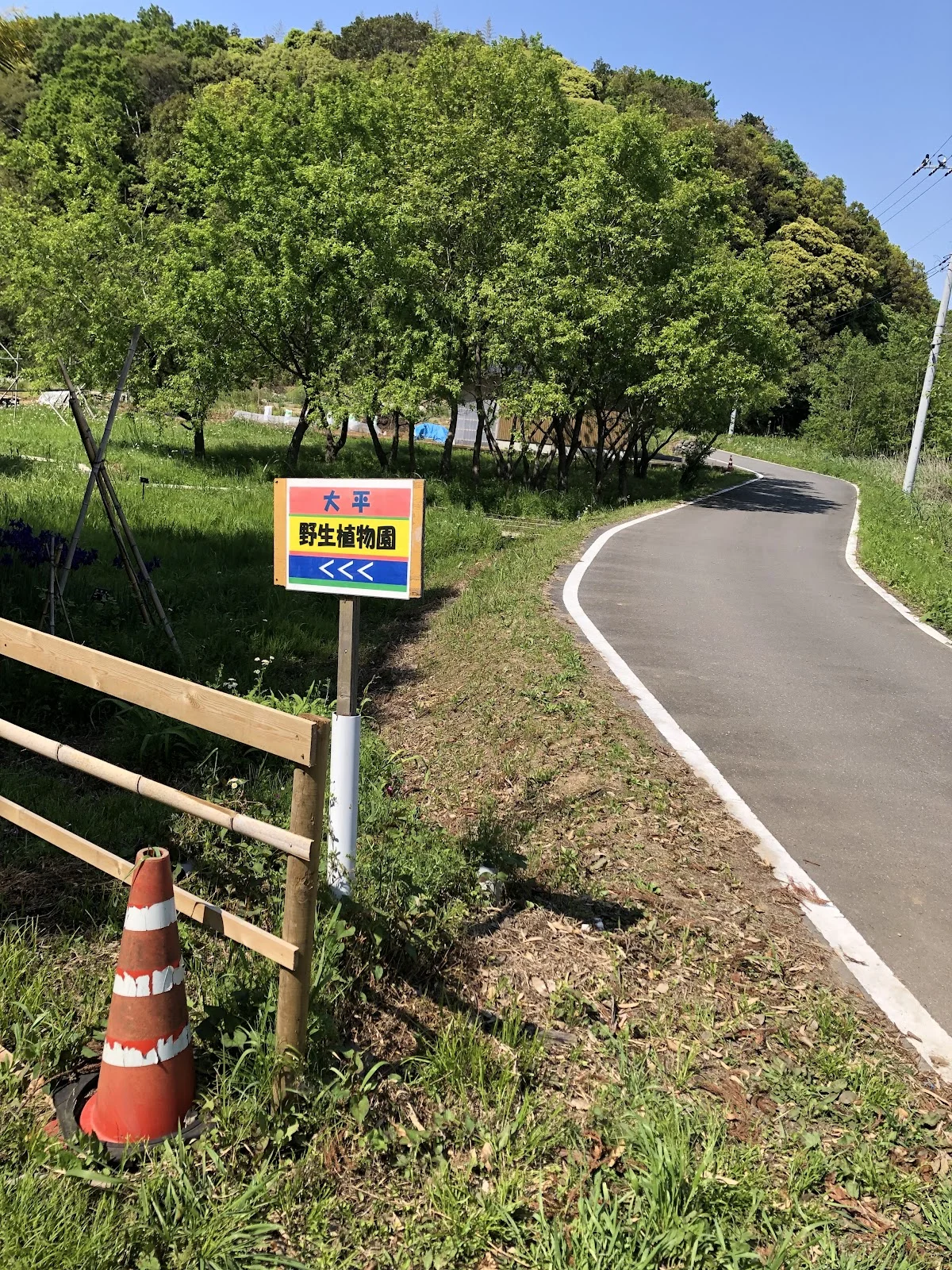 大平野生植物園 - 画像3