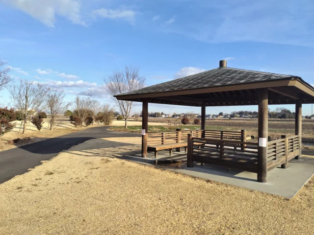 五霞町立ごかみずべ公園
