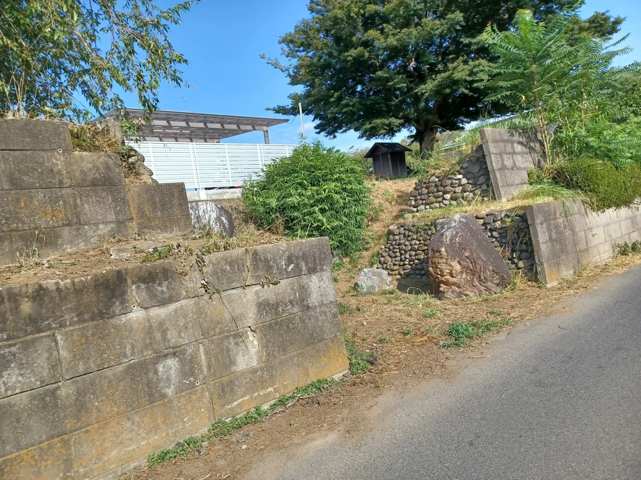 栗橋城跡