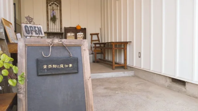 金茶猫と庭仕事