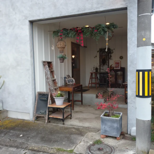 金茶猫と庭仕事