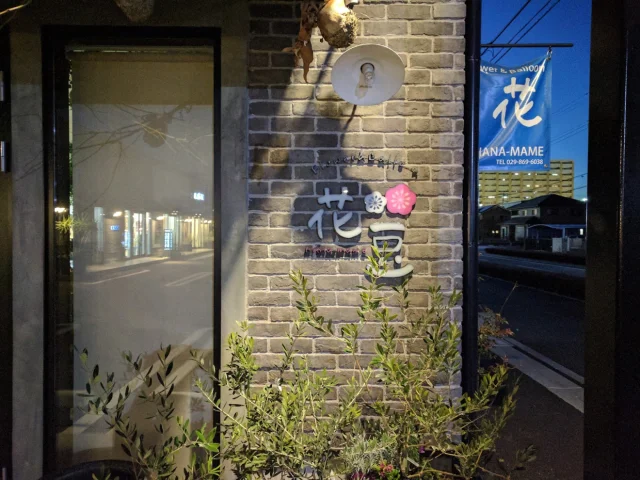 flower & balloon 花豆