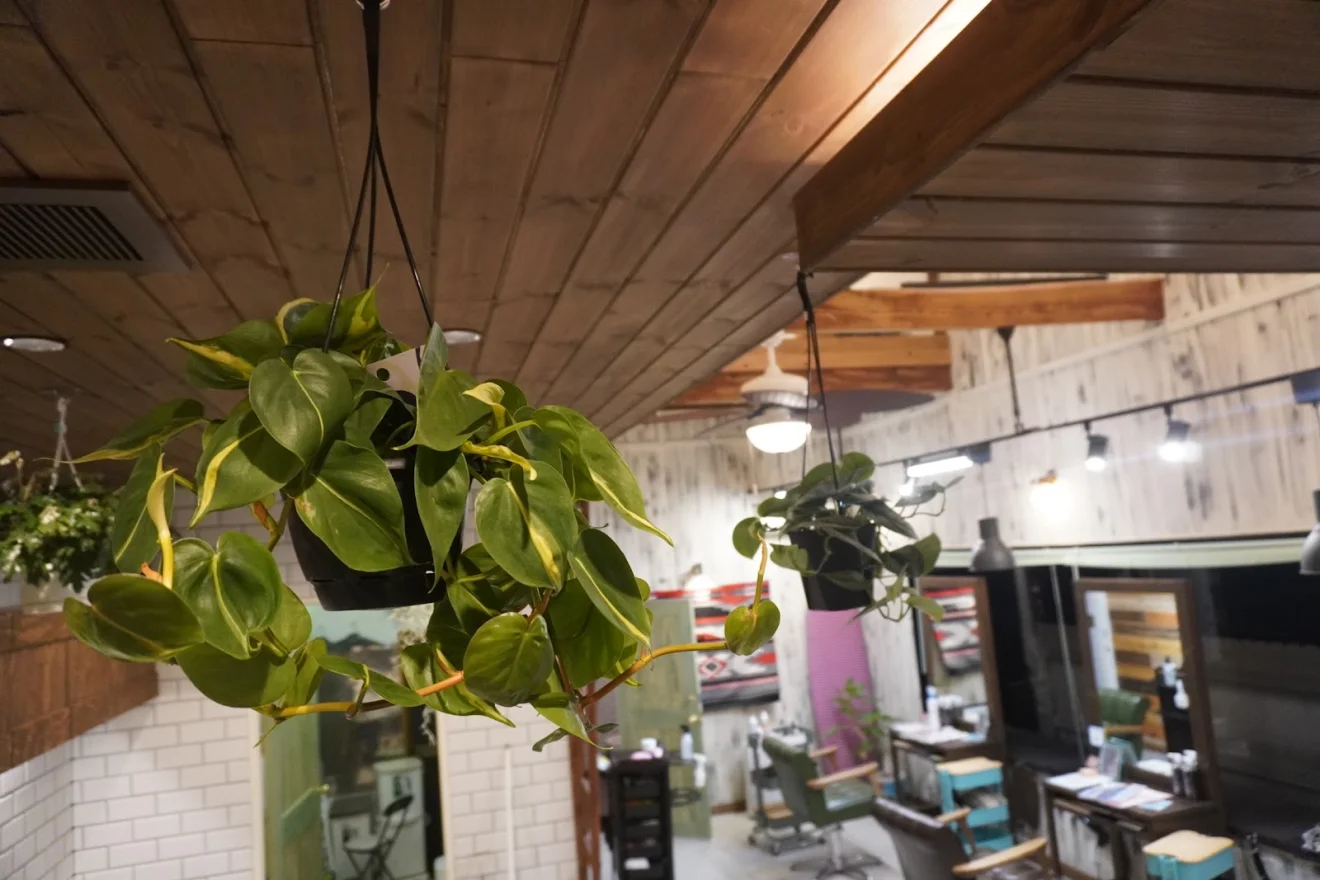 Hairsalon Little 下妻店 - 画像4