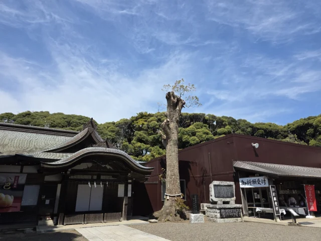 酒列磯前神社