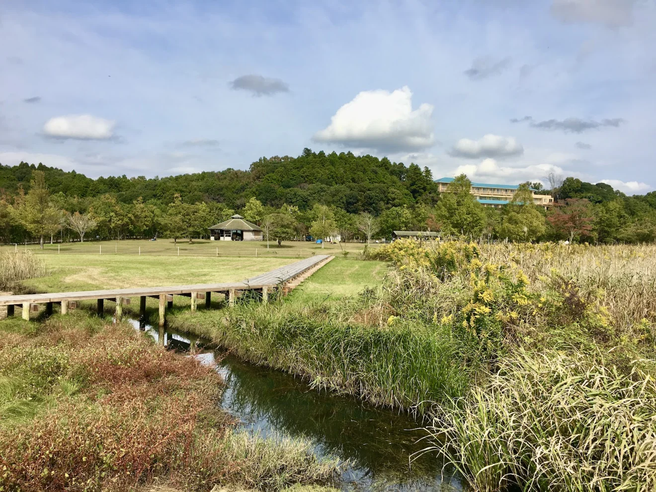 涸沼自然公園