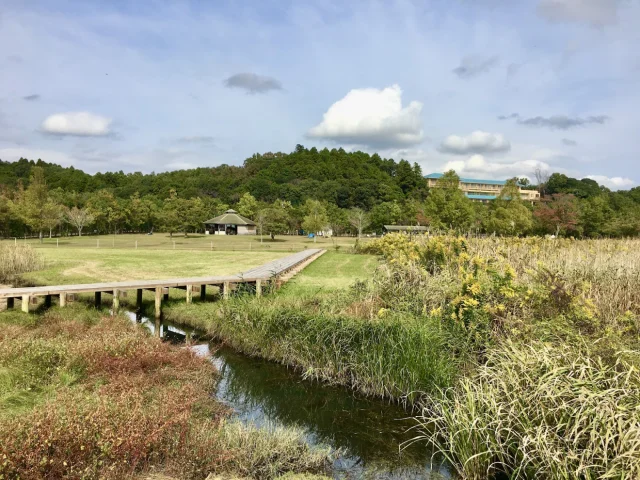 涸沼自然公園