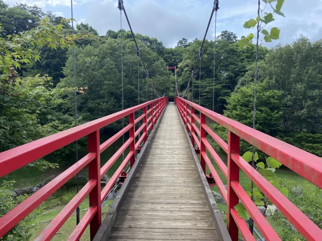 涸沼自然公園 - 5