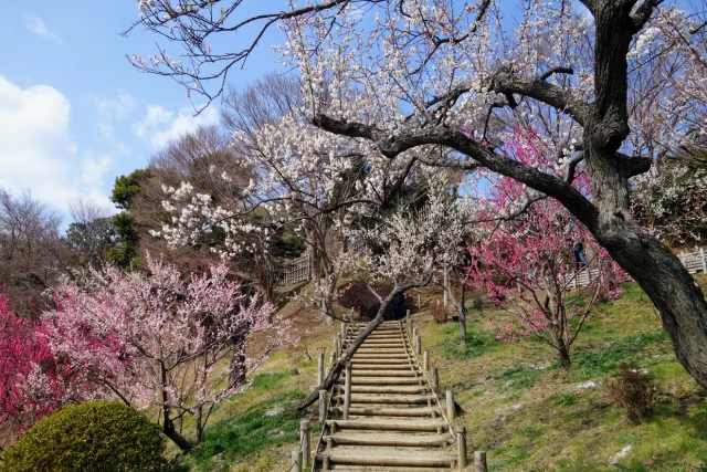偕楽園 - 2