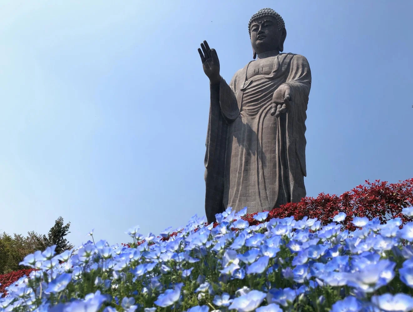 牛久大仏 - 画像2