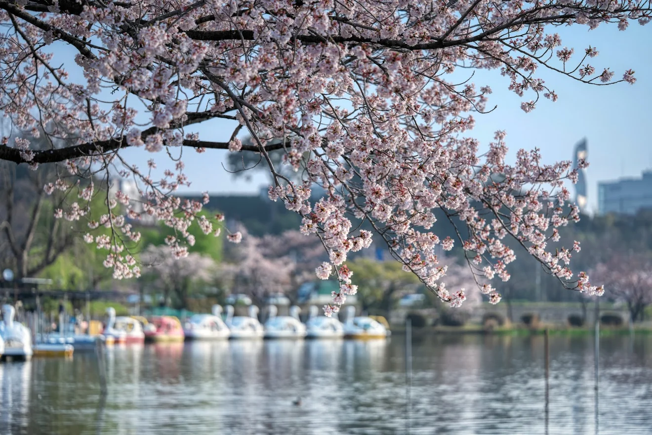 千波湖